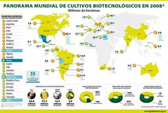 Transgenicos Una gran mentira