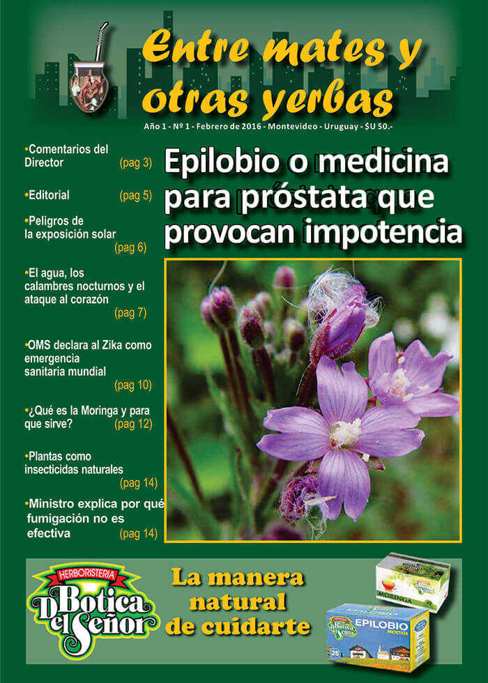 Revista Entre mates y otras Yerbas