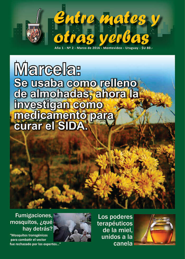 Revista Entre mates y otras Yerbas