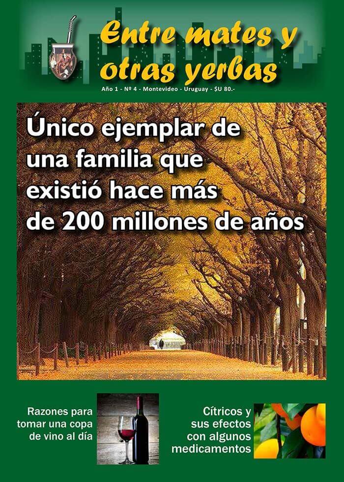 Revista Entre mates y otras Yerbas