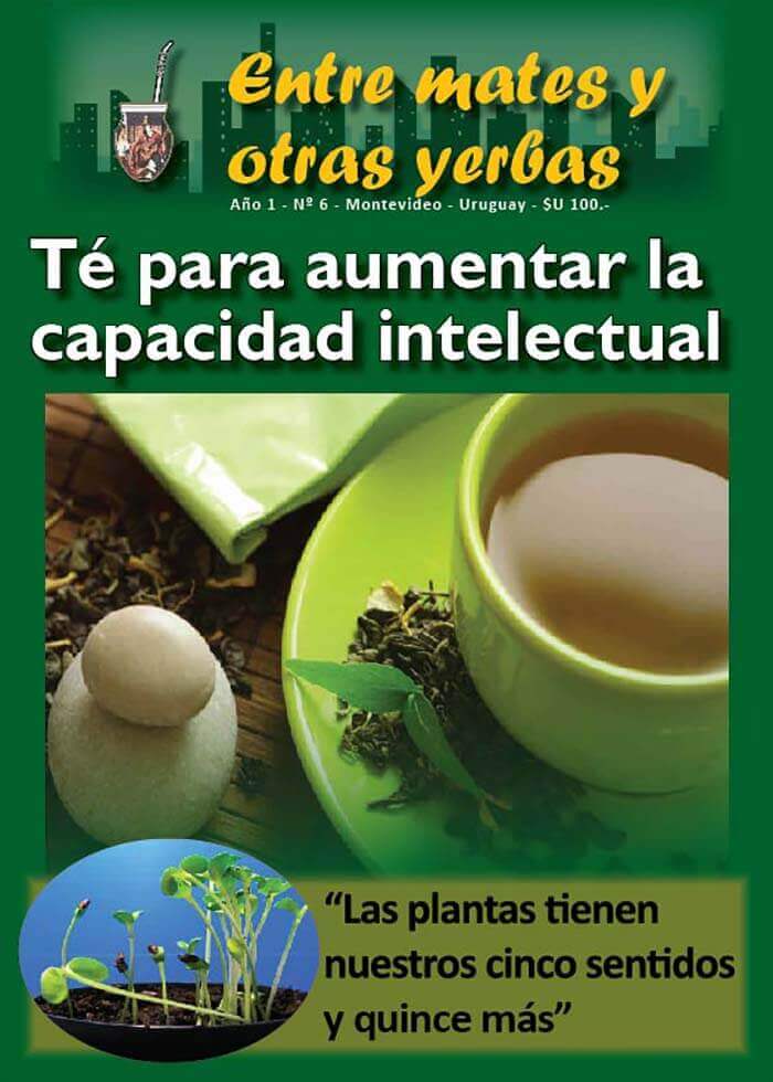 Revista Entre mates y otras Yerbas