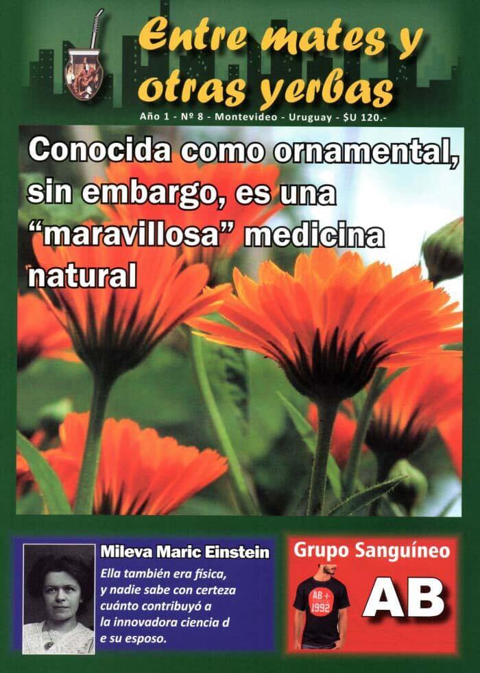 Revista Entre mates y otras Yerbas