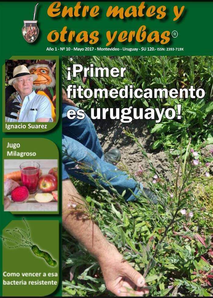 Revista Entre mates y otras Yerbas