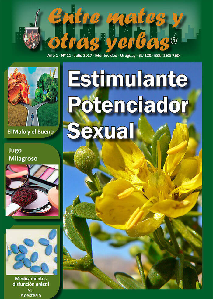 Revista Entre mates y otras Yerbas