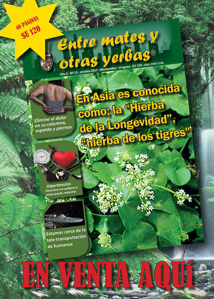 Revista Entre mates y otras Yerbas