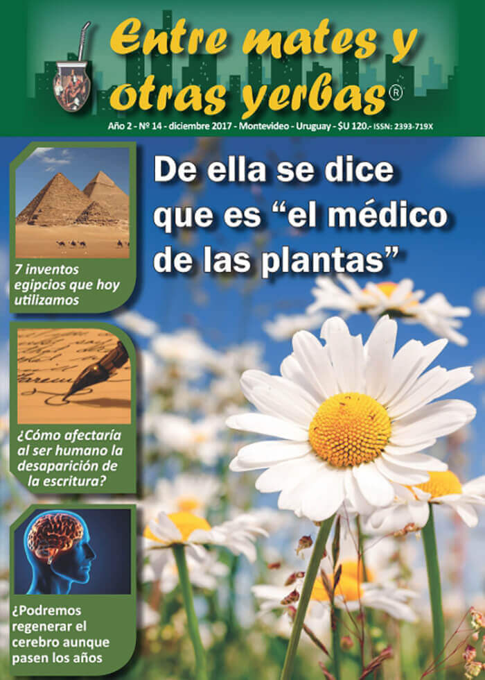 Revista Entre mates y otras Yerbas