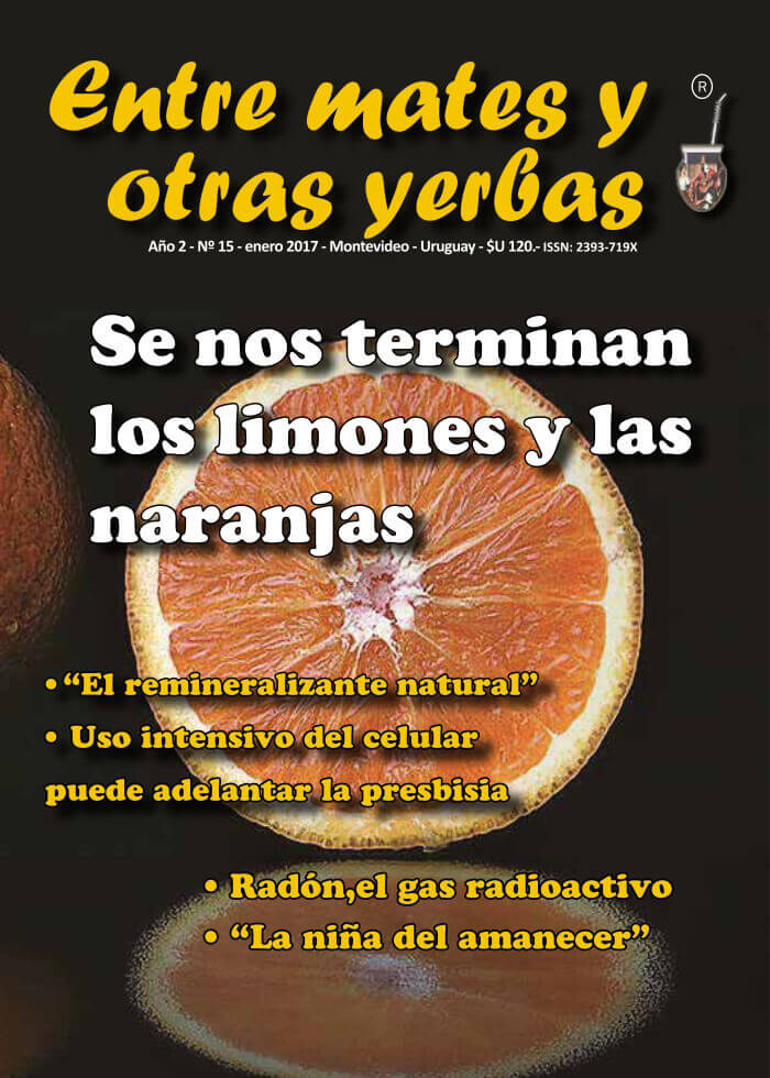 Revista Entre mates y otras Yerbas