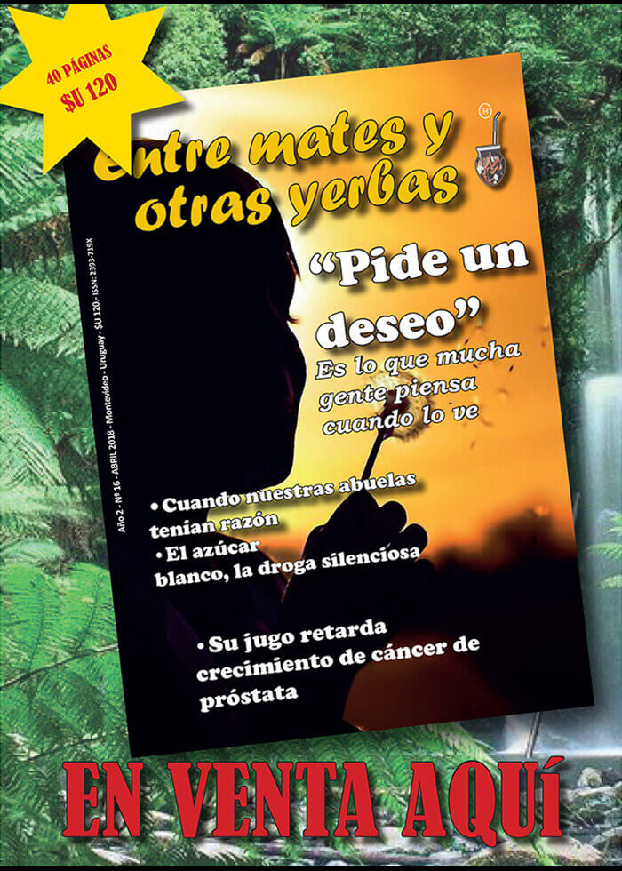 Revista Entre mates y otras Yerbas