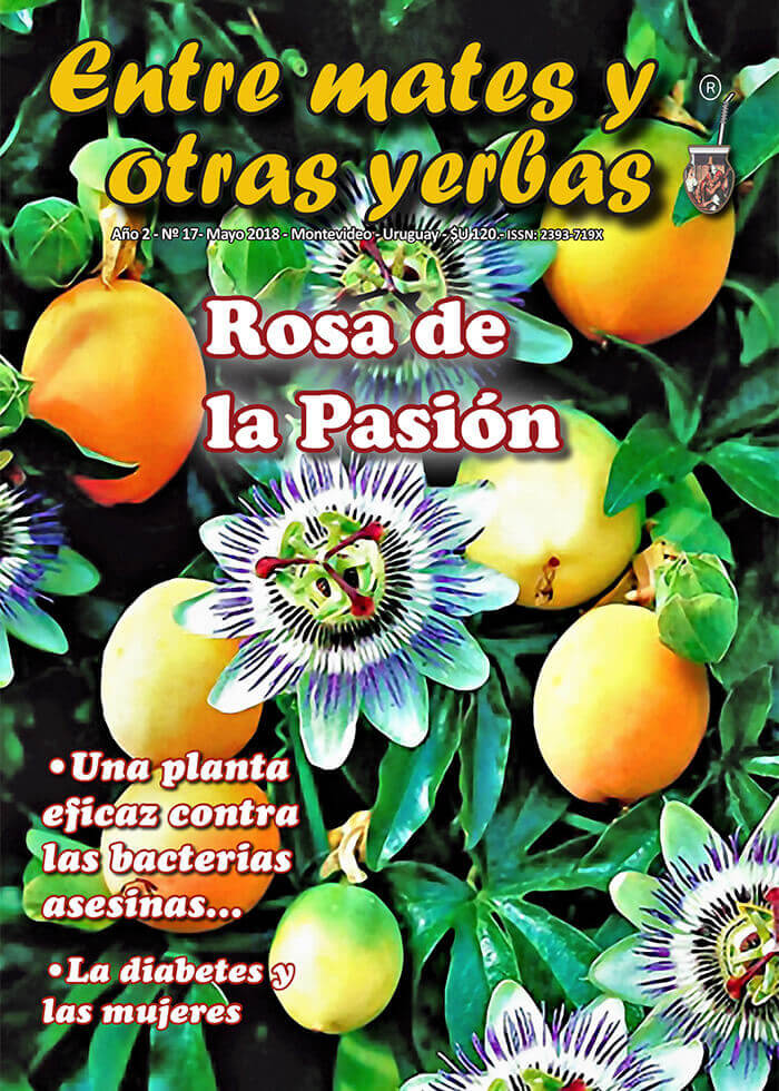 Revista Entre mates y otras Yerbas