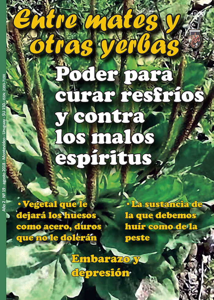 Revista Entre mates y otras Yerbas