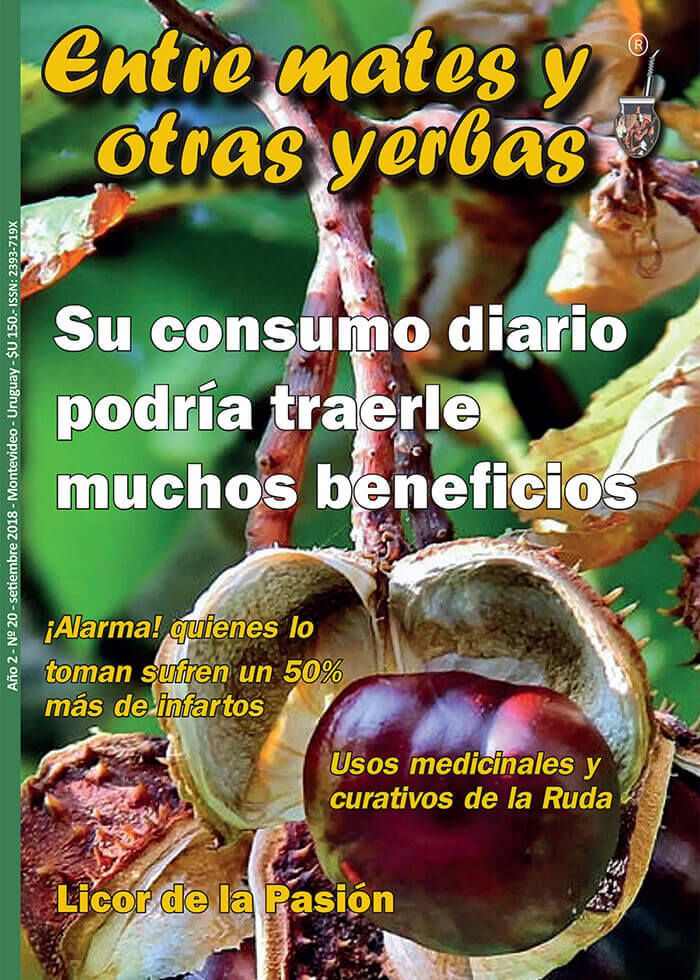 Revista Entre mates y otras Yerbas