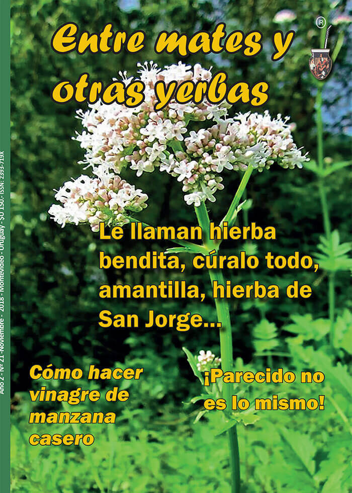 Revista Entre mates y otras Yerbas