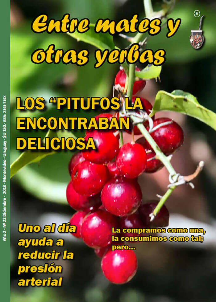 Revista Entre mates y otras Yerbas