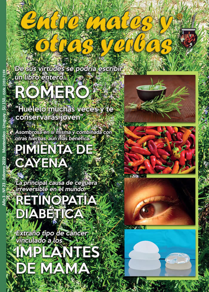 Revista Entre mates y otras Yerbas