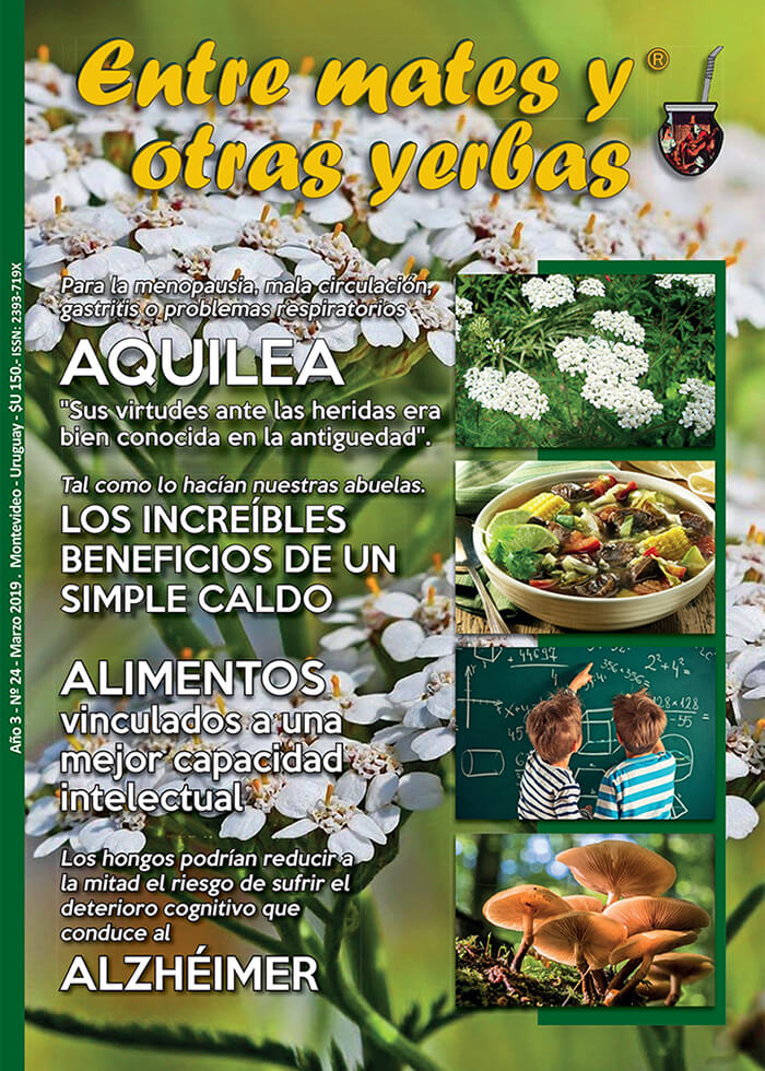 Revista Entre mates y otras Yerbas