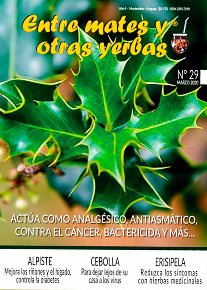 Revista Entre mates y otras Yerbas