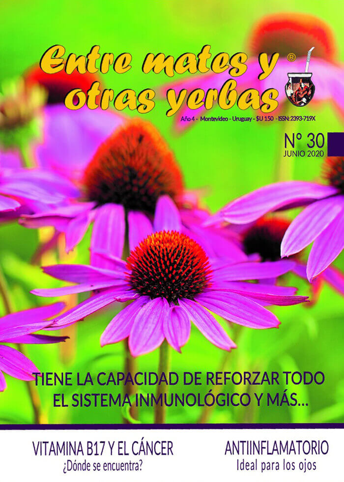 Revista Entre mates y otras Yerbas