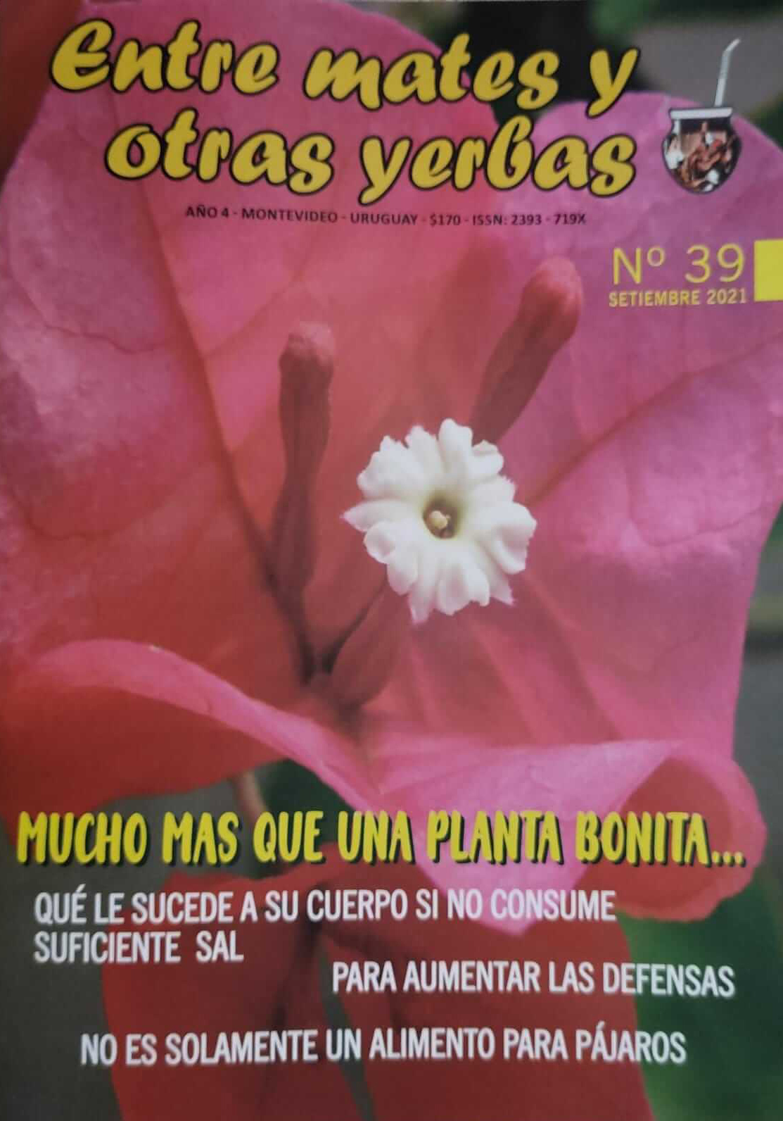 Revista Entre mates y otras Yerbas