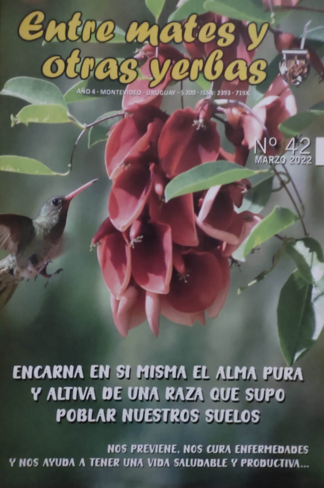 Revista Entre mates y otras Yerbas