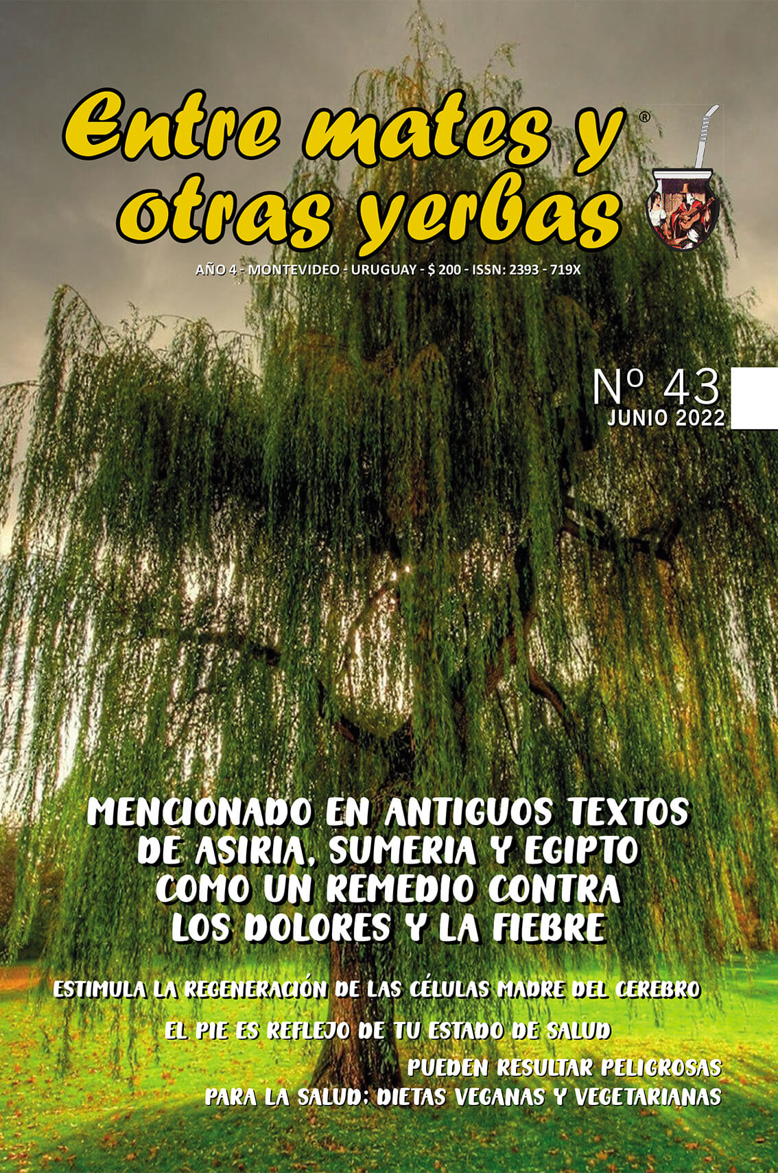 Revista Entre mates y otras Yerbas