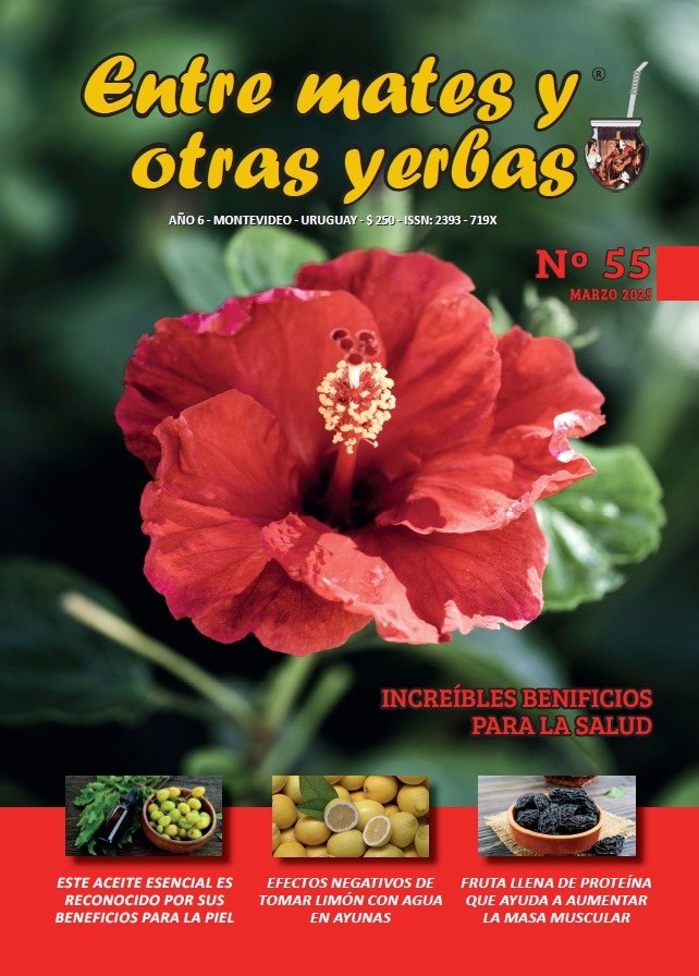 Revista Entre mates y otras Yerbas
