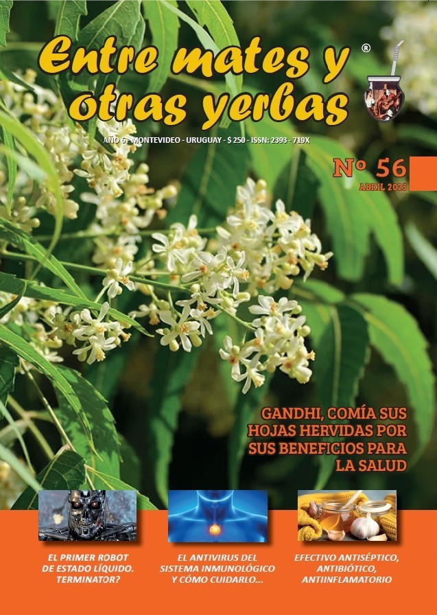 Revista Entre mates y otras Yerbas