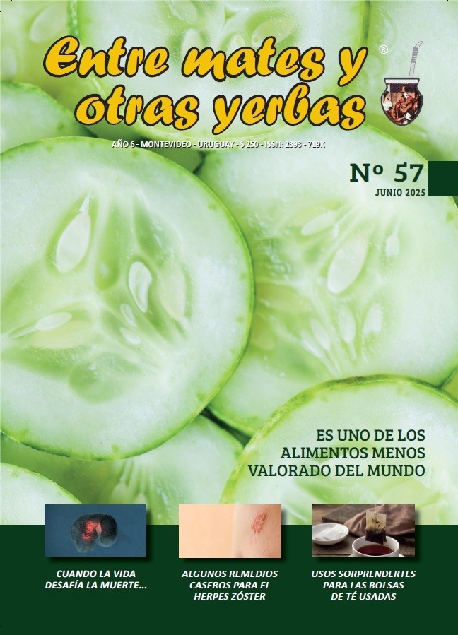 Revista Entre mates y otras Yerbas