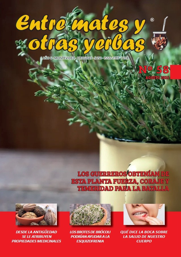 Entre mates y otras yerbas Revista