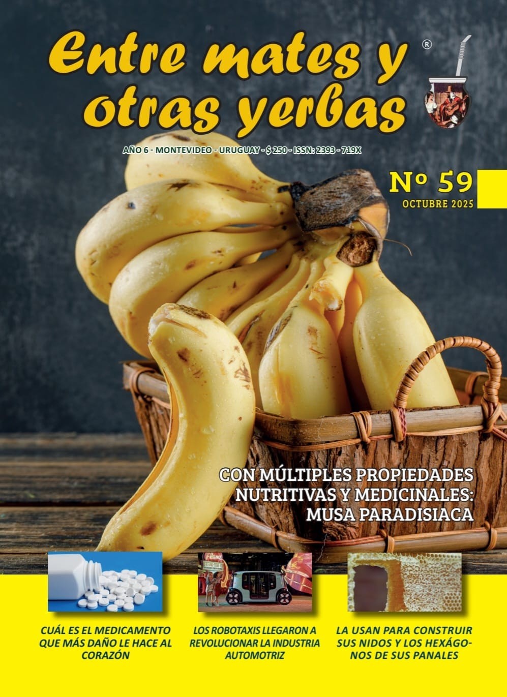 Entre mates y otras yerbas Revista