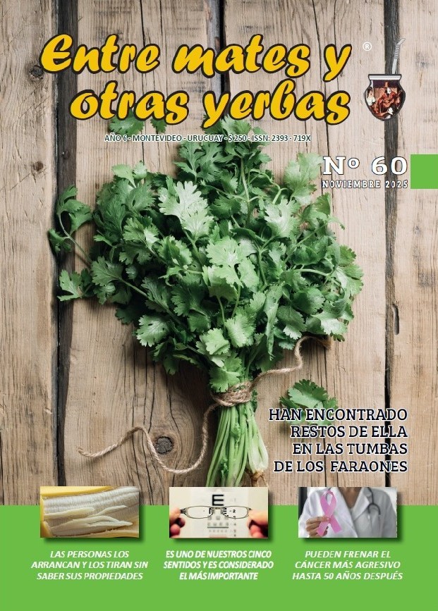 Entre mates y otras yerbas Revista