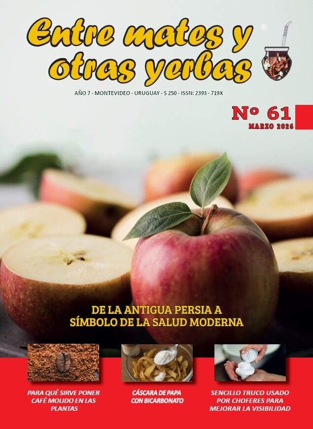 Entre mates y otras yerbas Revista